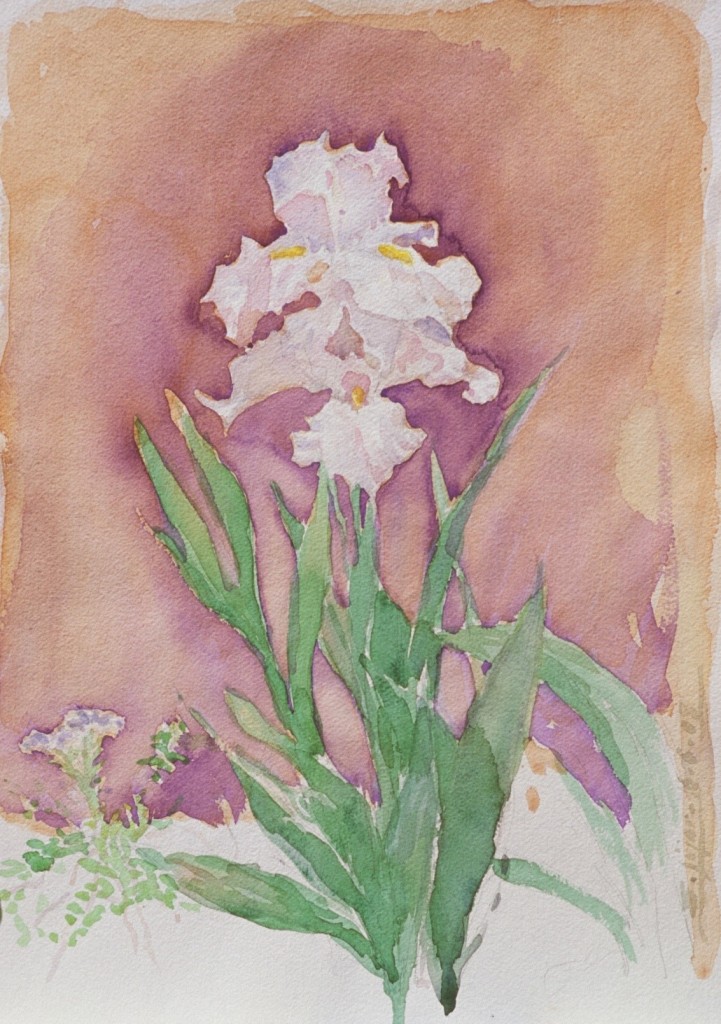 Iris 2 Iris 2