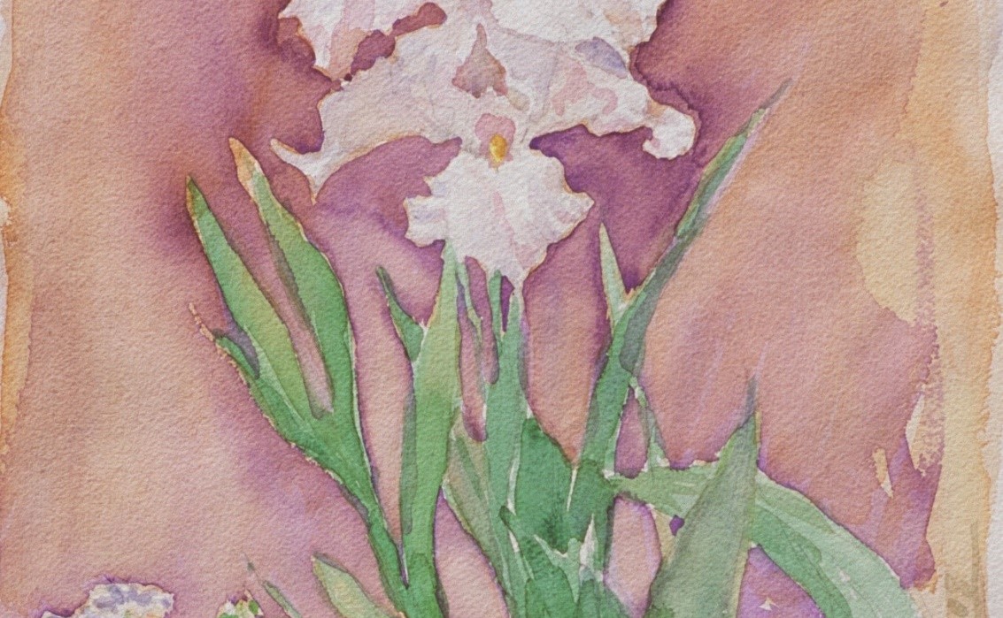 Iris 2 Iris 2
