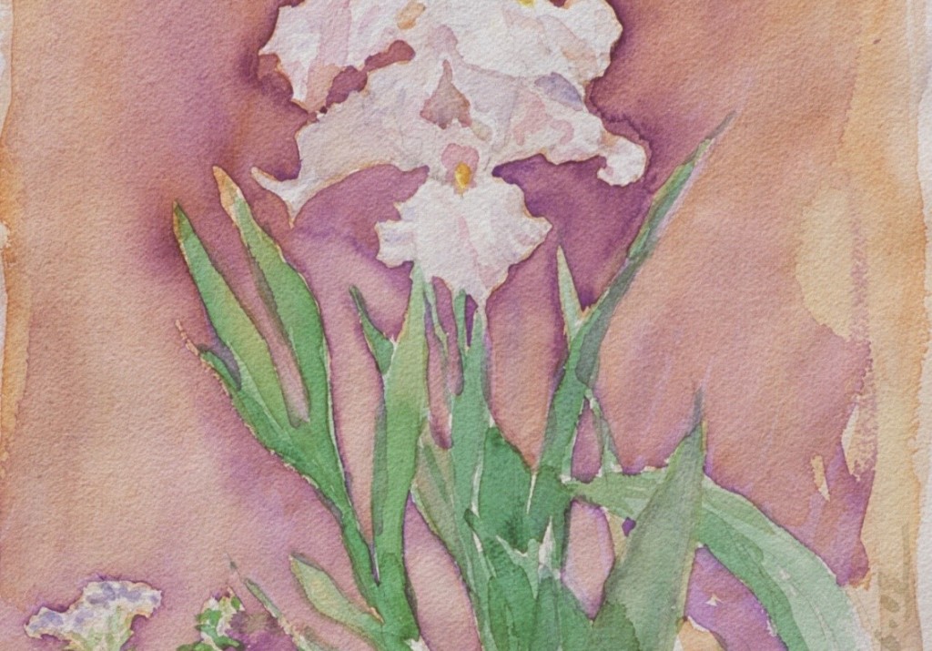 Iris 2 Iris 2