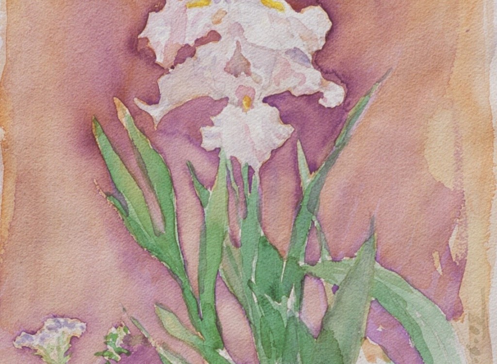Iris 2 Iris 2