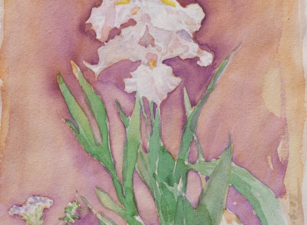 Iris 2