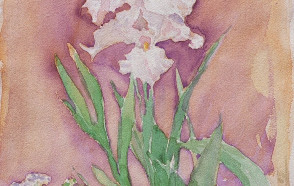 Iris 2 Iris 2