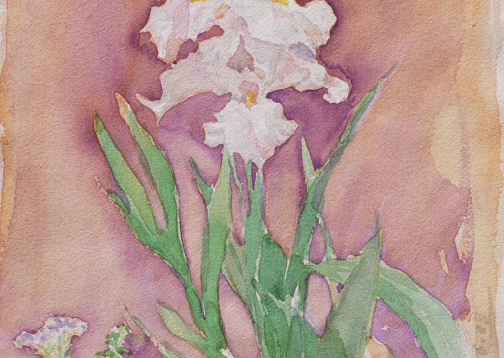Iris 2 Iris 2