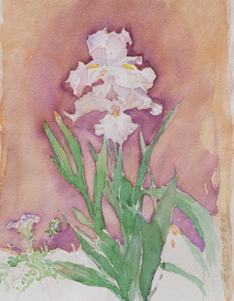 Iris 2 Iris 2