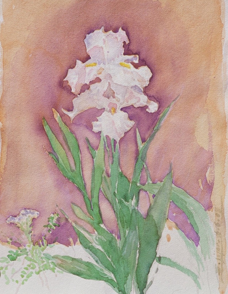 Iris 2