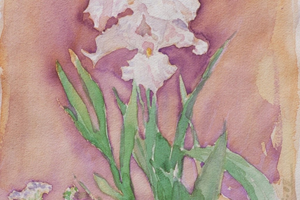 Iris 2 Iris 2