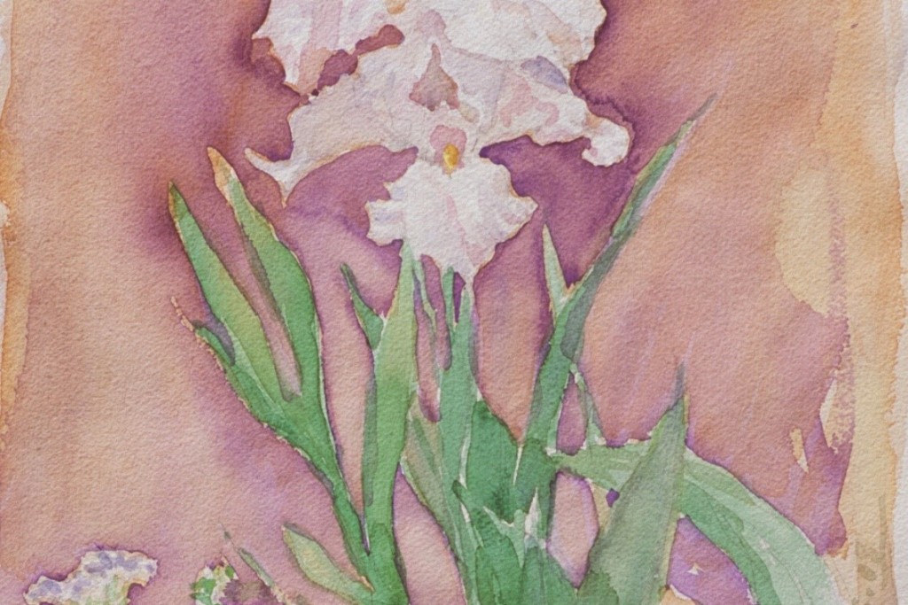 Iris 2