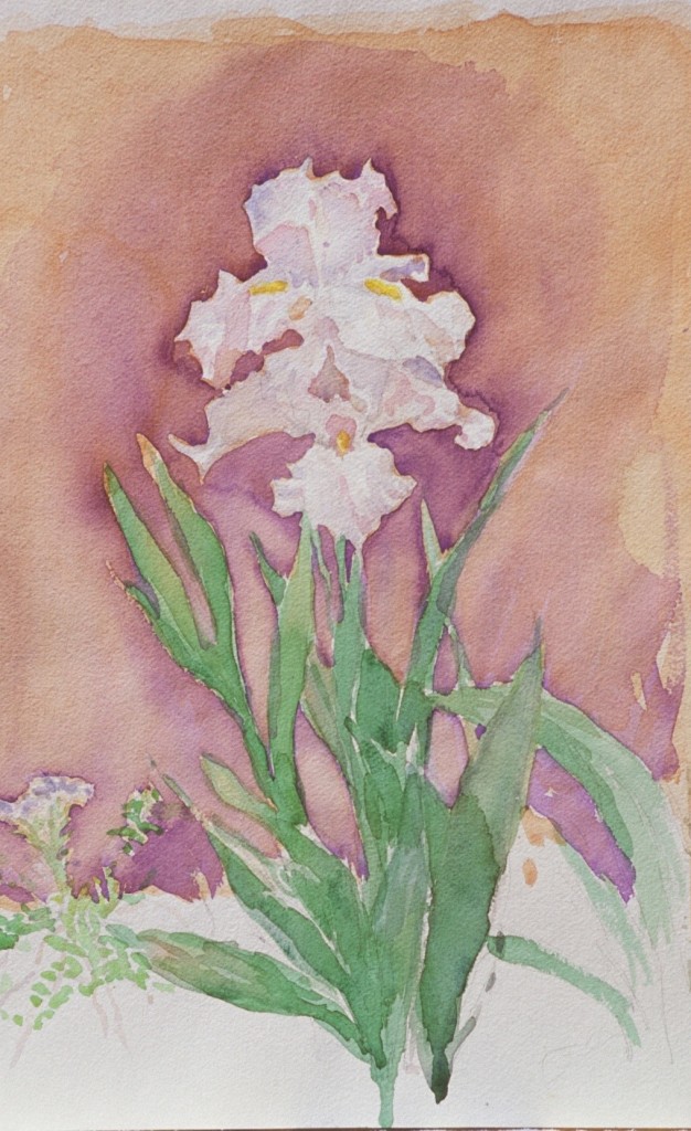 Iris 2 Iris 2