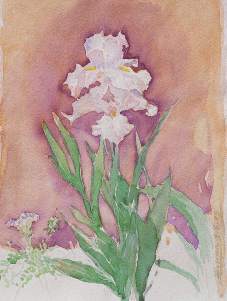 Iris 2 Iris 2