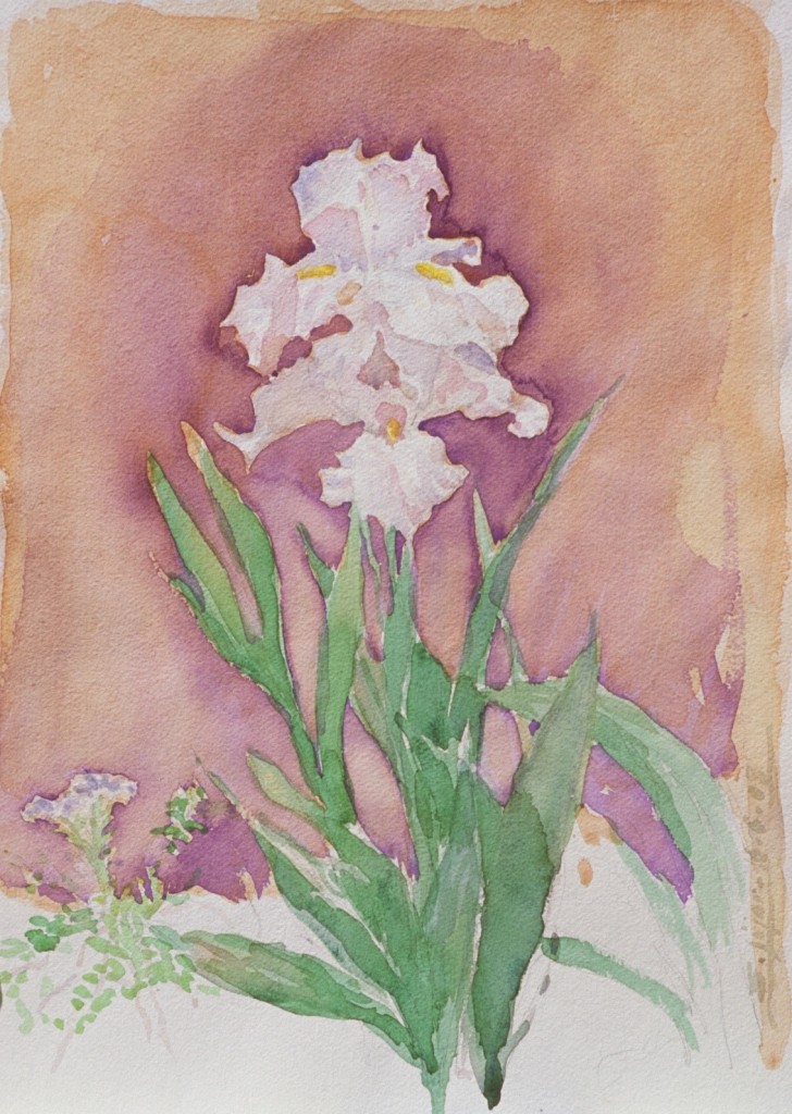 Iris 2 Iris 2