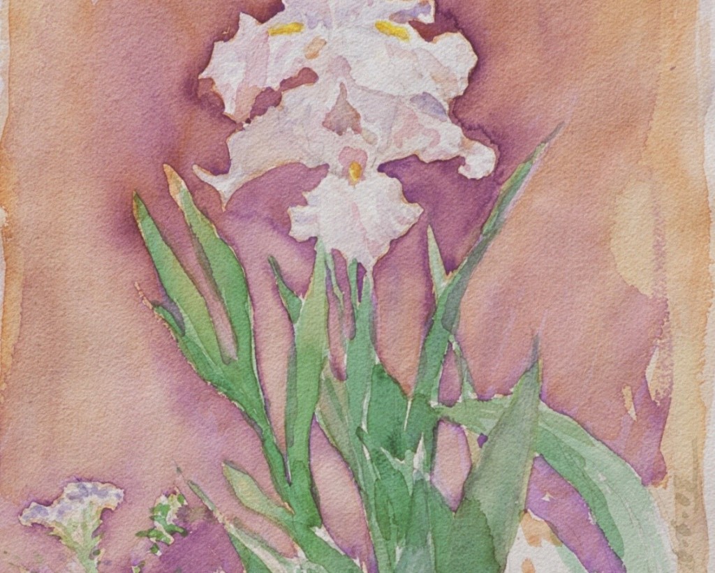 Iris 2 Iris 2