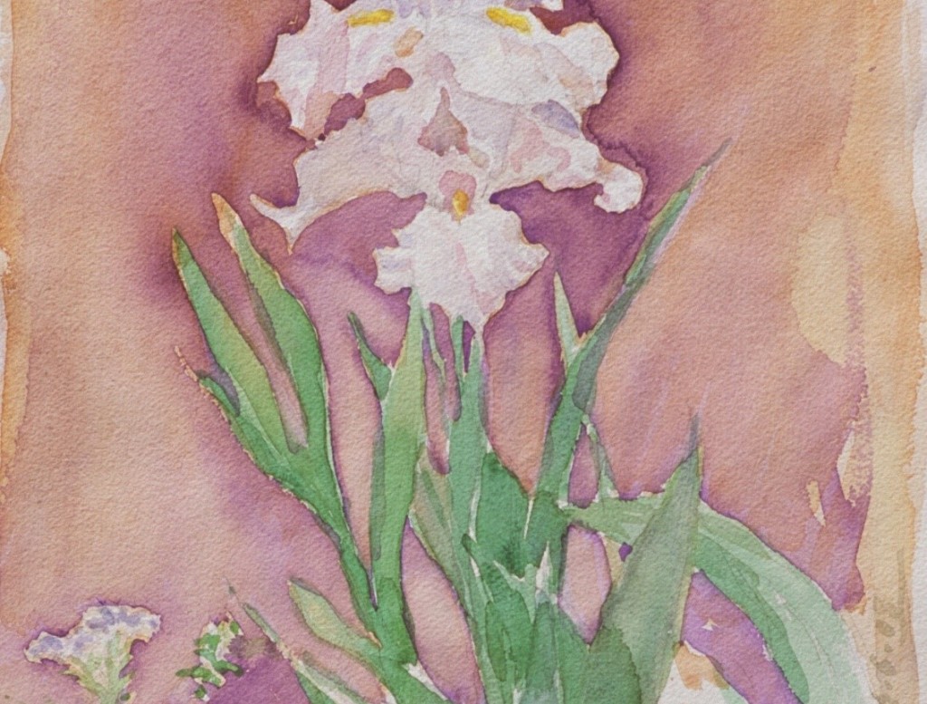 Iris 2 Iris 2
