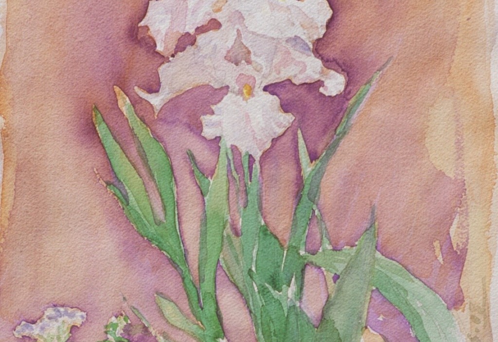 Iris 2 Iris 2