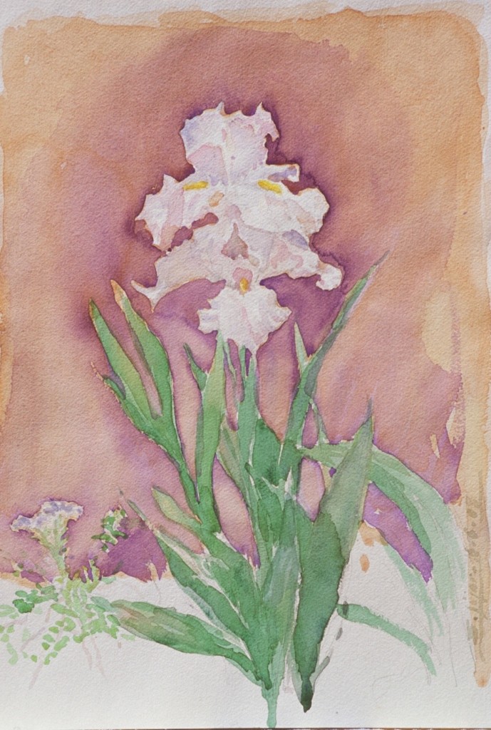 Iris 2 Iris 2
