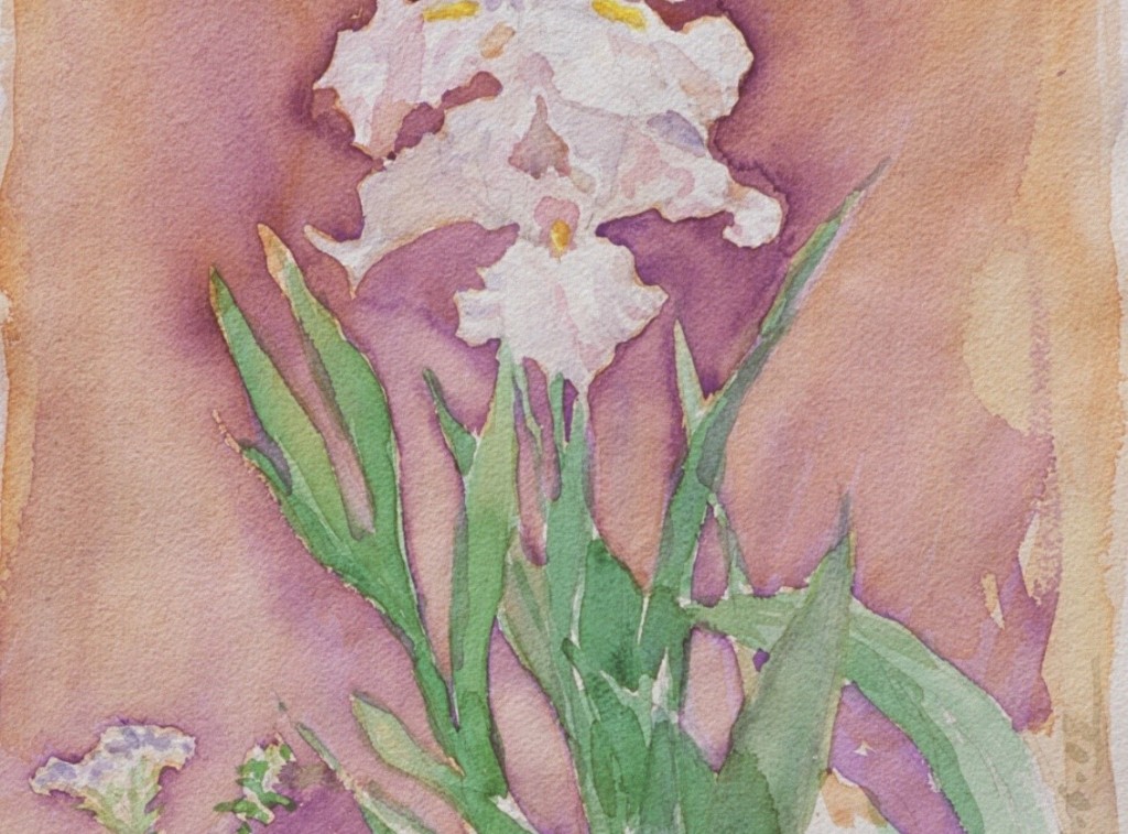Iris 2 Iris 2