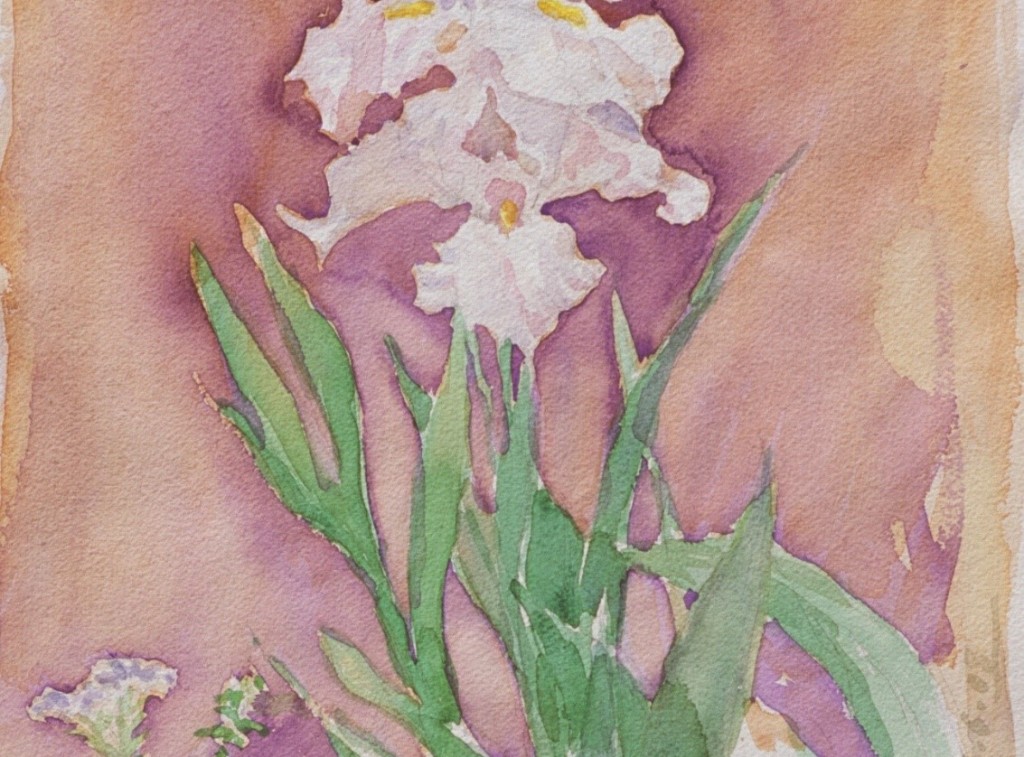 Iris 2