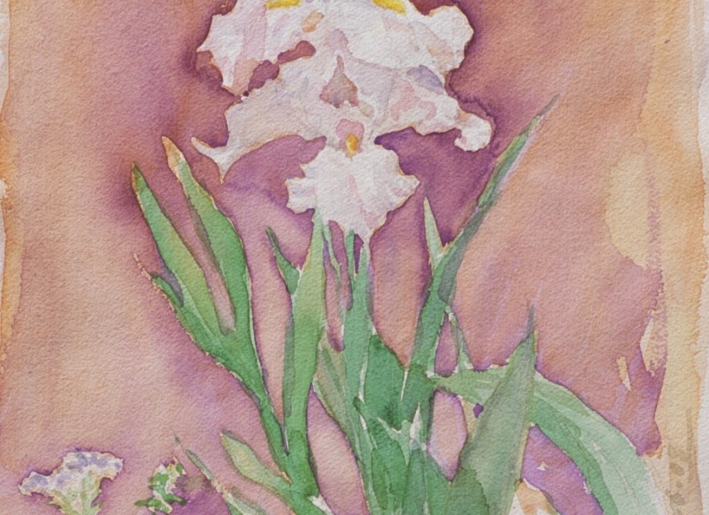 Iris 2 Iris 2