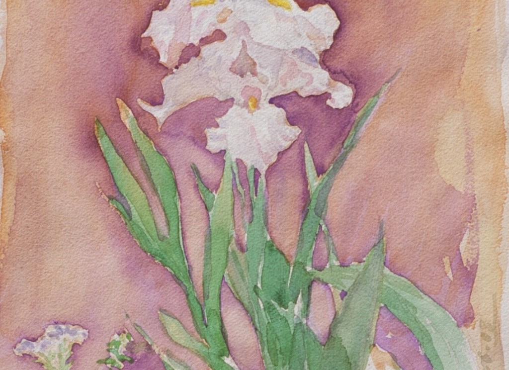 Iris 2