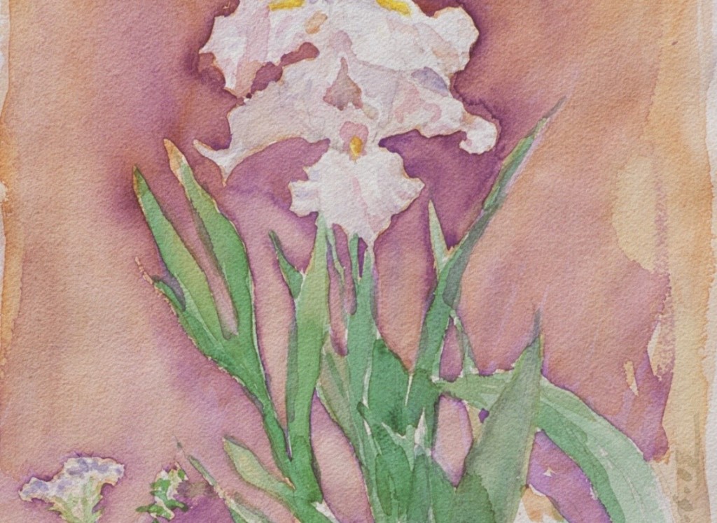 Iris 2 Iris 2