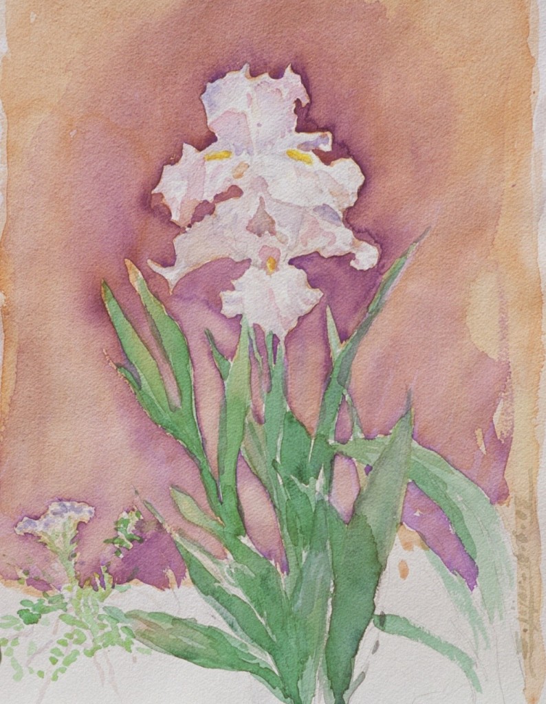Iris 2 Iris 2