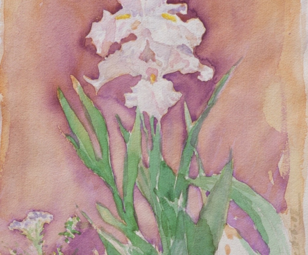 Iris 2 Iris 2
