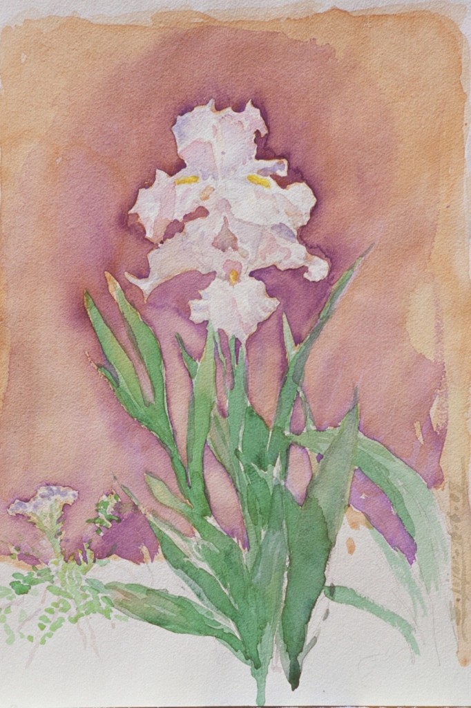Iris 2 Iris 2