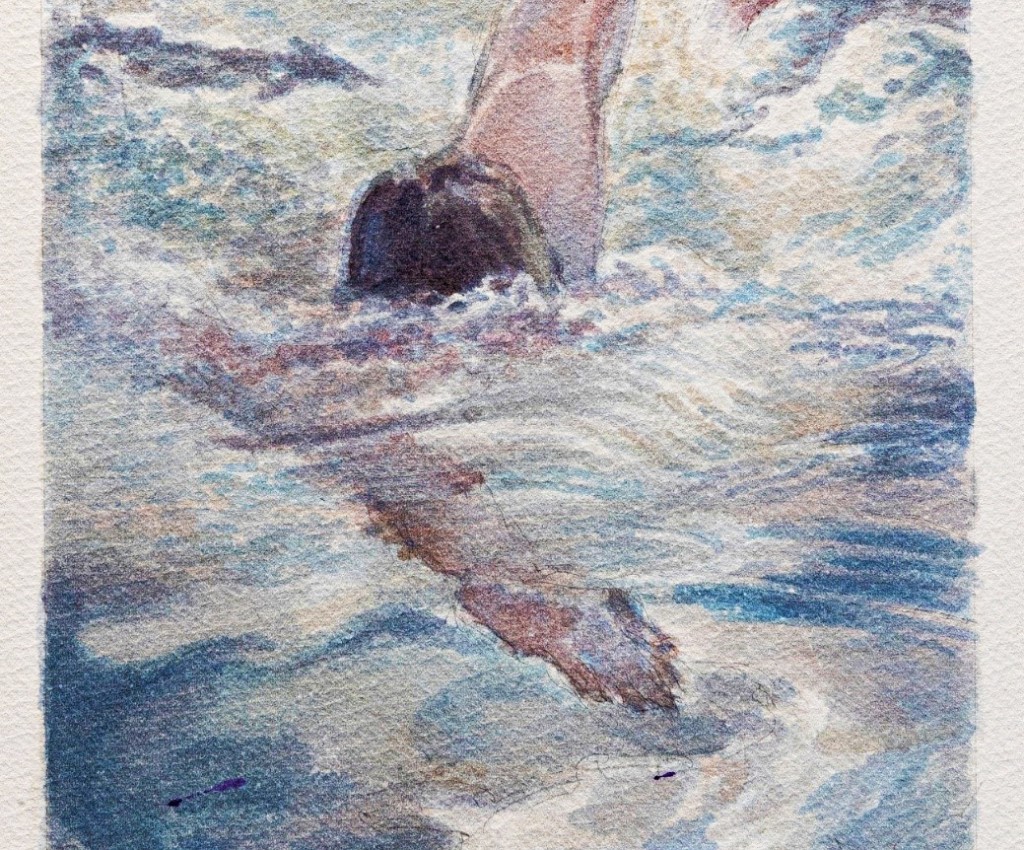La fortuna La fortuna